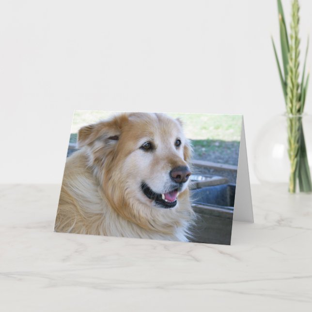 Golden Retriever Photo Card (Front)