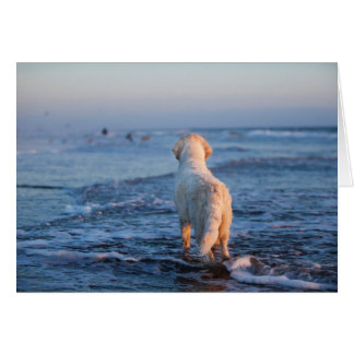 Golden Retriever Photo Card