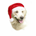 Golden Retriever Photo Sculpture Ornament<br><div class="desc">This acrylic Christmas ornament of a golden retriever dog comes with a red ribbon for hanging. Final size is approximate and depends on cut-out size of image.</div>