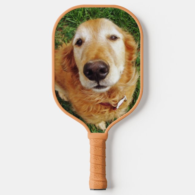 Golden Retriever Pickleball Paddle (Front)
