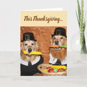 Golden Retriever Pilgrim's Bounty Thanksgiving Card