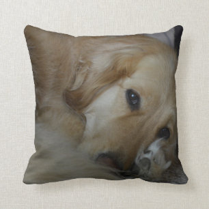 Golden retriever pillow