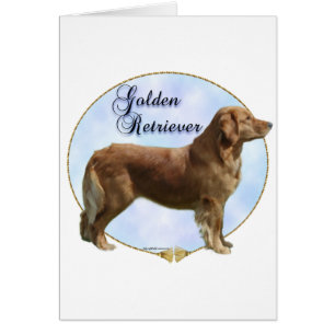 Golden Retriever Portrait