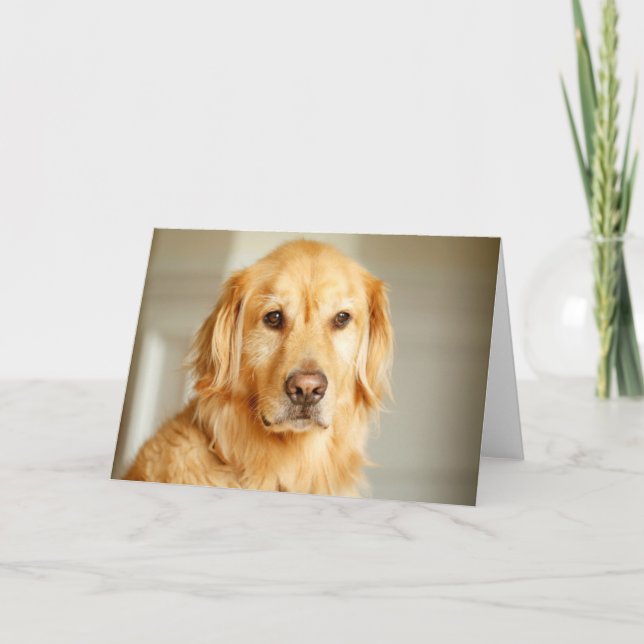Golden Retriever Portrait Card (Front)