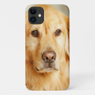 Golden Retriever Portrait iPhone 11 Case