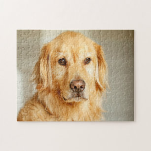 Golden Retriever Portrait Jigsaw Puzzle
