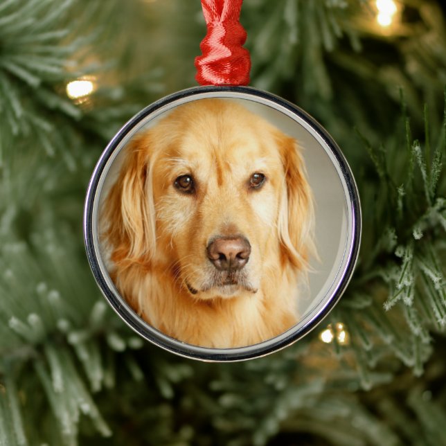 Golden Retriever Portrait Metal Ornament (Tree)