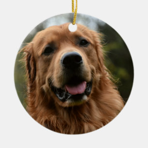 Golden Retriever Portrait Ornament