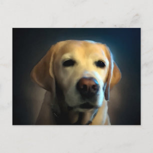 Golden Retriever Portrait Postcard