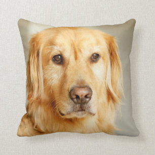 Golden Retriever Portrait Throw Pillow