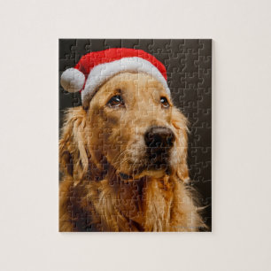 Golden Retriever posing for his Christmas Jigsaw Puzzle