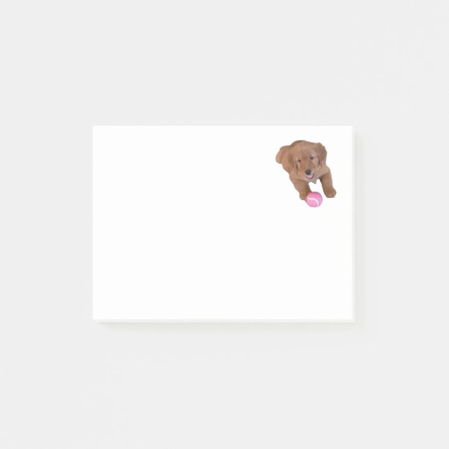 Golden Retriever Post-It Note Pad (Front)