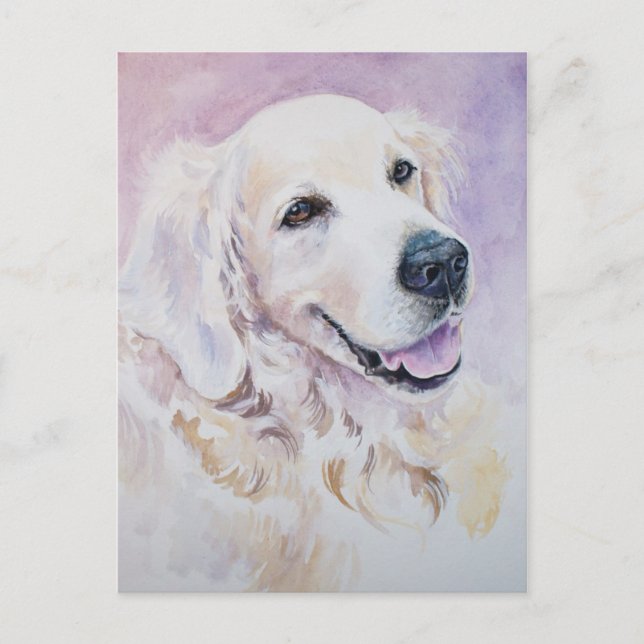 Golden retriever postcard (Front)