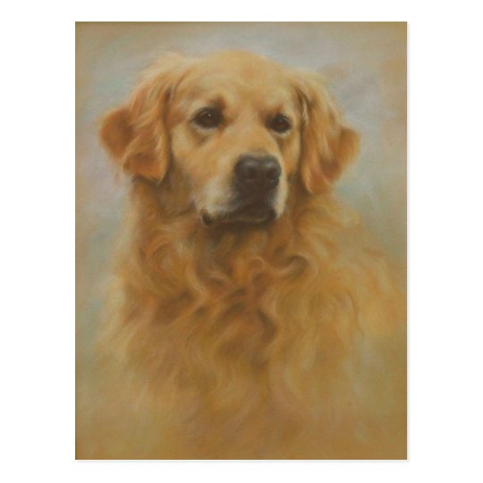 Golden Retriever Postcard