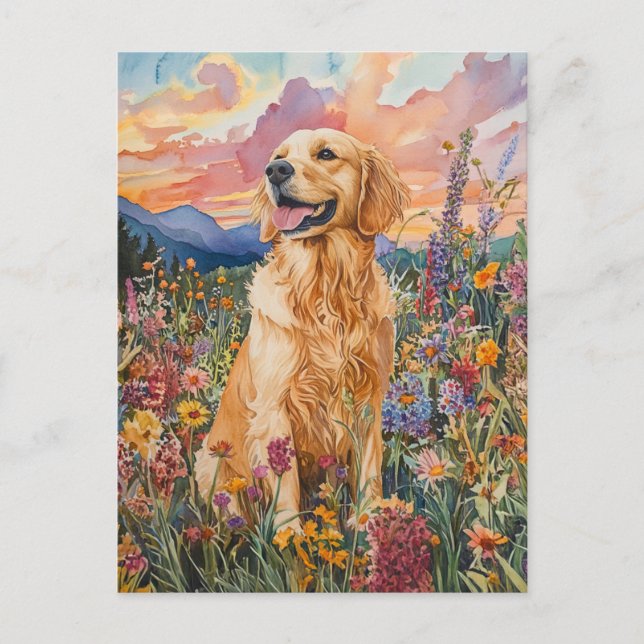 Golden Retriever - Postcard (Front)