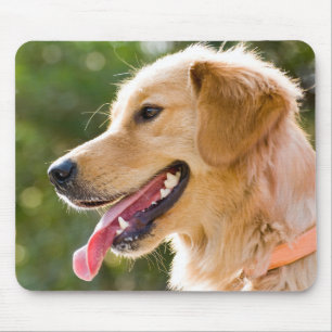 Golden Retriever Profile With Tongue Out Mouse Pad