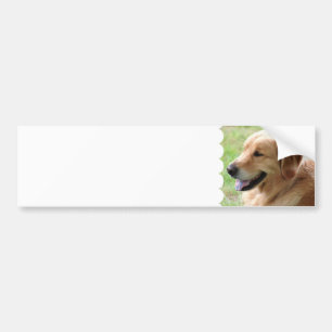 Golden Retriever Pup Bumper Stickers