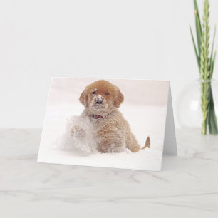 Golden Retriever Pup in Snow Card