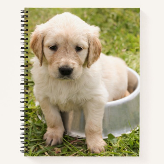 Golden retriever pup in water bowl spiral notebook (Front)