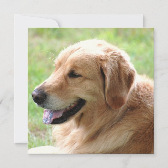 Golden Retriever Pup Invitations (Front)
