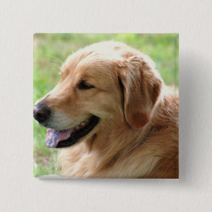 Golden Retriever Pup Pin