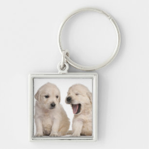Golden Retriever puppies (4 weeks old) Keychain