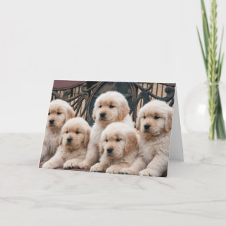 Golden Retriever Puppies Card
