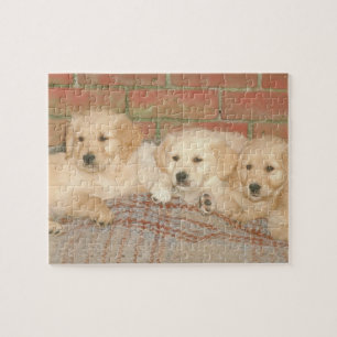Golden Retriever Puppies Dog Puzzle
