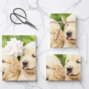 Golden Retriever Puppies in a Row Wrapping Paper Sheet