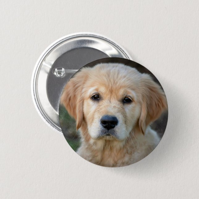 Golden Retriever Puppy 2 Inch Round Button (Front & Back)