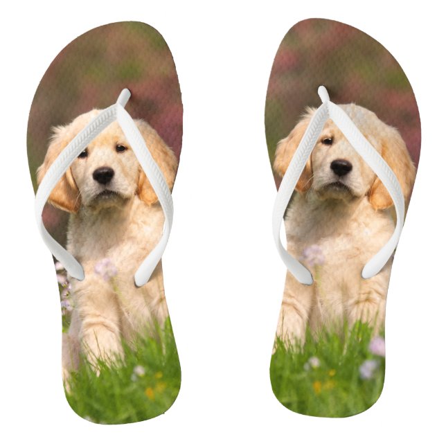 Golden Retriever puppy a cute Goldie Flip Flops (Footbed)