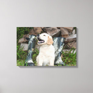Golden Retriever Puppy and Hunting Boots Canvas Print