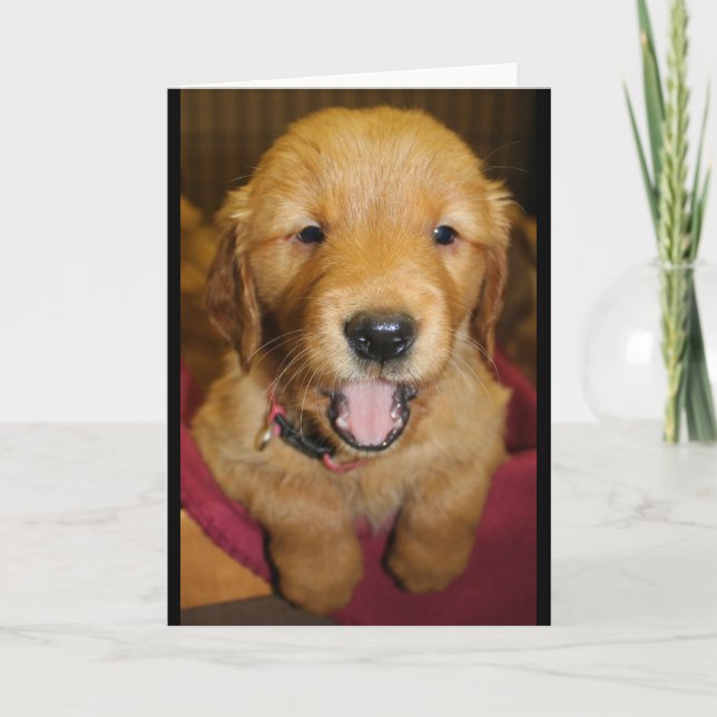Golden Retriever Puppy Any Occasion Card (Front)