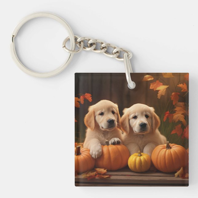 Golden Retriever Puppy Automne Citrouille de plais (Devant)