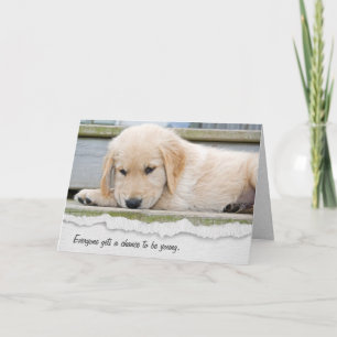 Golden Retriever Puppy Birthday Humour Card