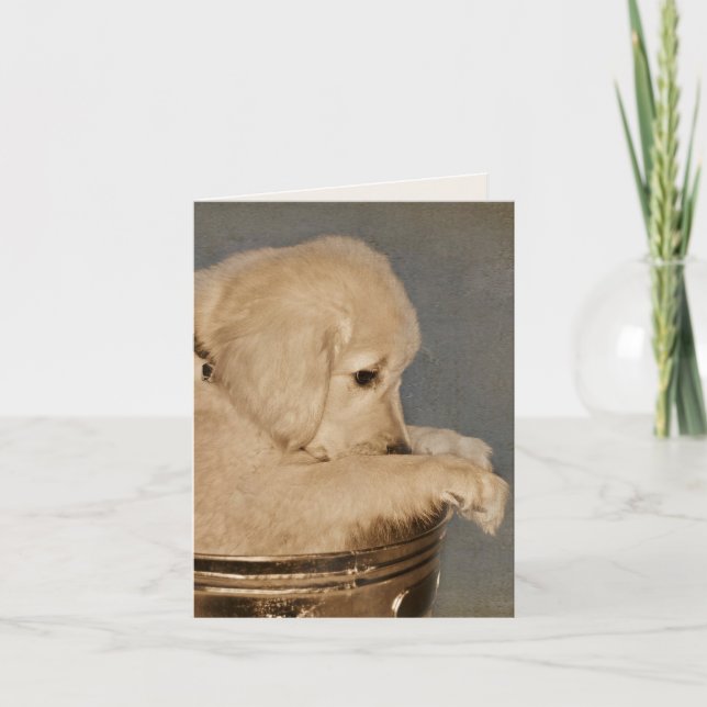Golden Retriever Puppy Blank Notecard (Front)