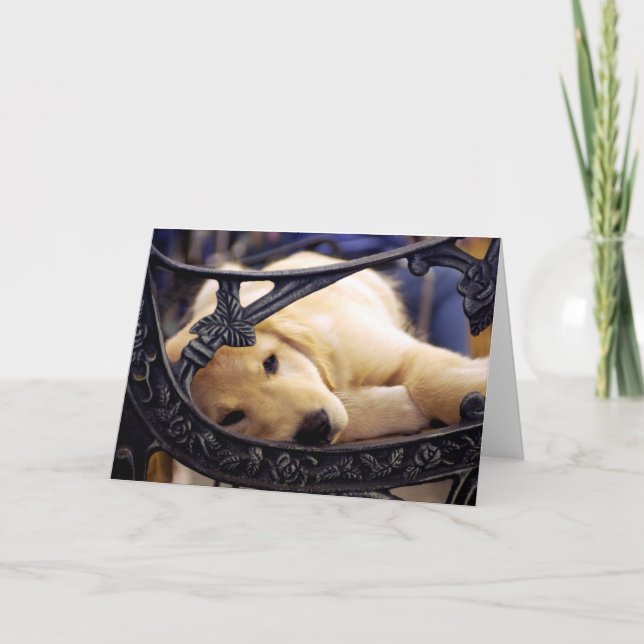 Golden Retriever Puppy Card (Front)