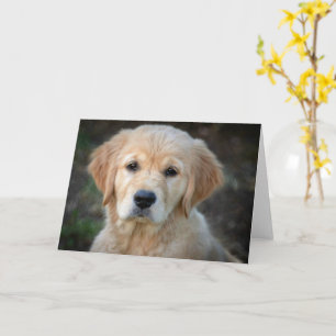 Golden Retriever Puppy Card