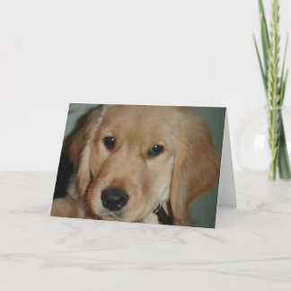 Golden Retriever Puppy Card