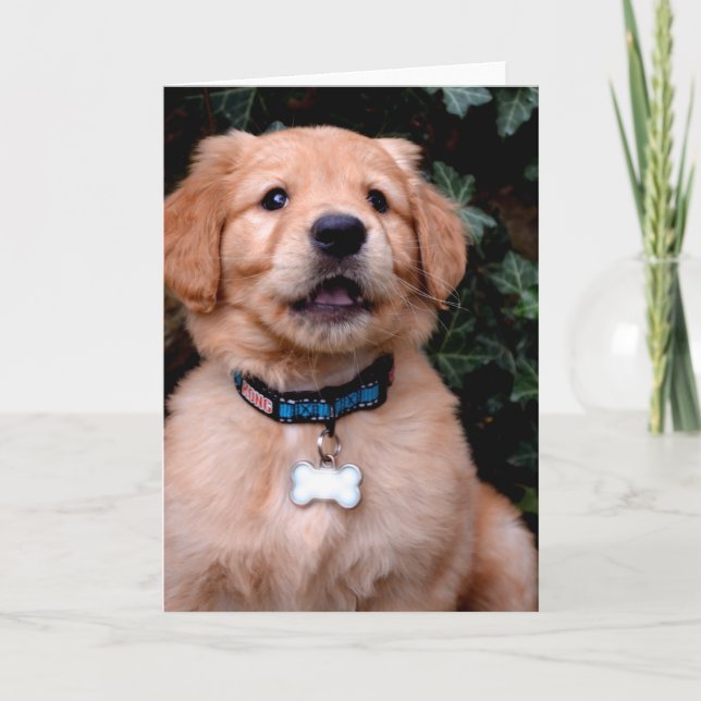 Golden Retriever Puppy Card (Front)