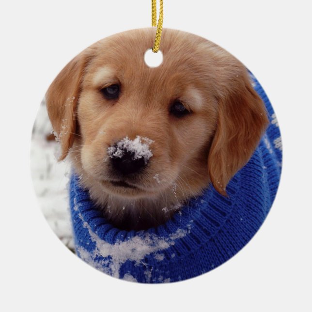 Golden Retriever Puppy Ceramic Ornament (Front)