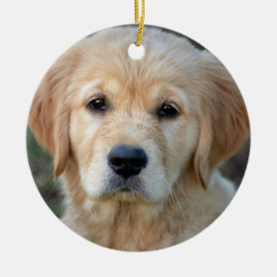 Golden Retriever Puppy Ceramic Ornament