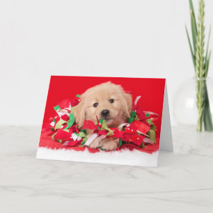 Golden Retriever Puppy Christmas Card