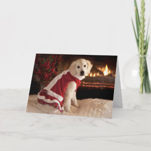Golden Retriever Puppy Christmas & New Years Card