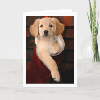 Golden Retriever Puppy Christmas Stocking Holiday Card