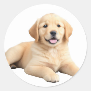 Golden Retriever Puppy Classic Round Sticker