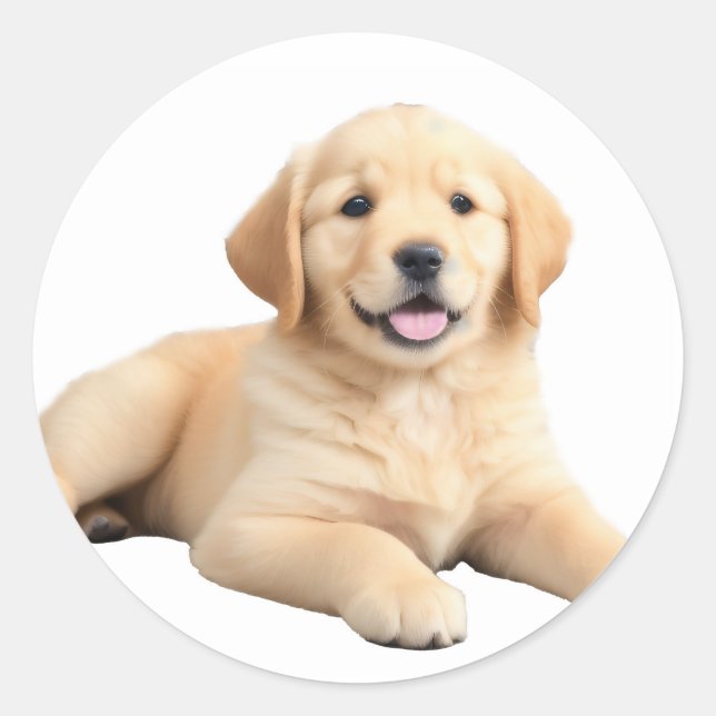 Golden Retriever Puppy Classic Round Sticker (Front)