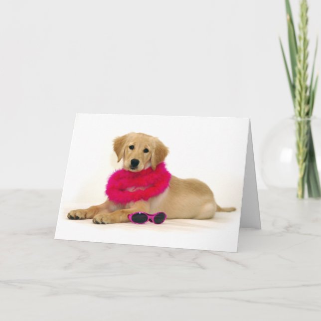 Golden Retriever Puppy Diva Card (Front)