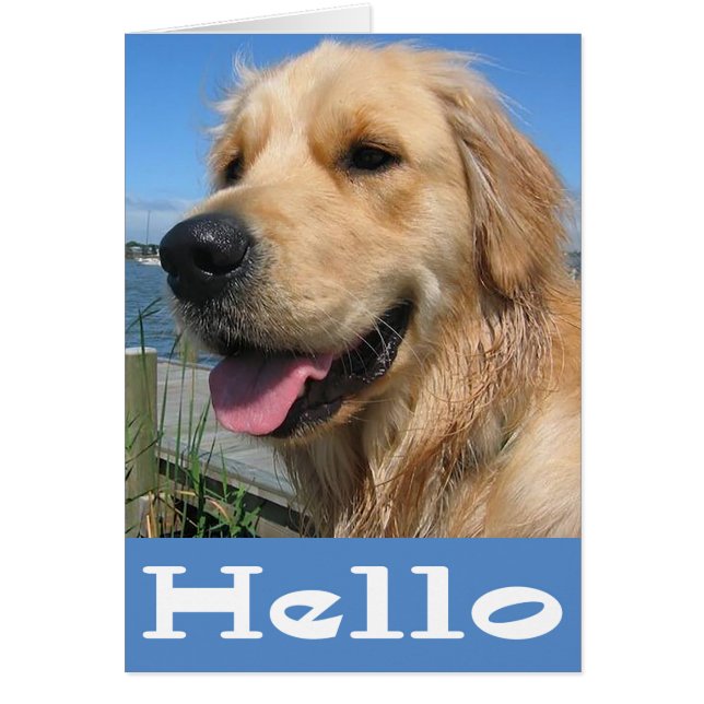 Golden Retriever Puppy Dog  Blank (Front)