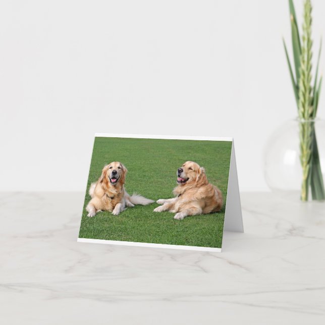 Golden Retriever Puppy Dog Blank Card (Front)